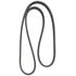 Continental AG D4060672 Serpentine Belt Automotive Multi-V Dual-Sided Belt