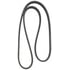 Continental AG D4070536 Serpentine Belt Automotive Multi-V Dual-Sided Belt