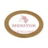 Meritor 1229K2403 Multi-Purpose Washer Washer