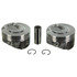 H1524CPLR by SEALED POWER ENGINE PARTS - Sealed Power H1524CPLR Engine Piston Set
