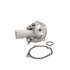 DP1251 by DAYCO - WATER PUMP-AUTO/LIGHT TRUCK, DAYCO