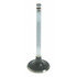 V4376 by SEALED POWER - Engine Exhaust Valve