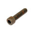 Dorman 804-310 Multi-Purpose Bolt Socket Cap Screw-Grade 8- 1/4-20 x 1 In.