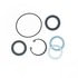 Omega Environmental Technologies 2013 Steering Gear Pitman Shaft Seal Kit Steering Gear Pitman Shaft Seal Kit - Complete