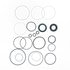 Omega Environmental Technologies 2194 Rack and Pinion Seal Kit Rack and Pinion Seal Kit