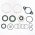 Omega Environmental Technologies 2228 Rack and Pinion Seal Kit Rack and Pinion Seal Kit