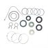 Omega Environmental Technologies 2863 Rack and Pinion Seal Kit Rack and Pinion Seal Kit