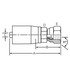 Dayco 100645 Hydraulic Coupling / Adapter PG06-04FJ