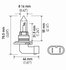 9005 100WTB by HELLA - HELLA 9005 100WTB High Wattage Series Halogen Light Bulb