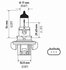 H13 2.0TB by HELLA - HELLA H13 2.0TB Performance Series Halogen Light Bulb, Twin Pack