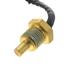 853704 by PAI - Engine Oil Temperature Sensor - Mack Multiple Application 1/4in-14 NPT Thread w/ Locking Compound 2 Male Pin Connectors