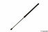 8195033 by LESJOFORS - Hatch Lift Support - for Volkswagen Water