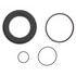 WK970 by RAYBESTOS - Raybestos Element3 Brake Caliper Seal Kit