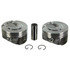 H1524CPLR by SEALED POWER ENGINE PARTS - Sealed Power H1524CPLR Engine Piston Set