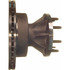 BD125629 by WAGNER - Wagner BD125629 Brake Hub & Rotor