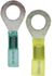 TY38S by TECTRAN - Ring Terminal - Yellow, 12-10 Wire Gauge, 3/8 inches Stud, Solder and Shrink