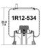 1R12-534 by CONTINENTAL AG - [FORMERLY GOODYEAR] Air Spring Rolling Lobe