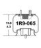 1R9-065 by CONTINENTAL AG - [FORMERLY GOODYEAR] Air Spring Rolling Lobe