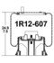 1R12-607 by CONTINENTAL AG - [FORMERLY GOODYEAR] Air Spring Rolling Lobe