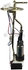 67037 by BOSCH - Fuel Pumps