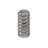 Cummins 3916588 SPRING,VALVE
