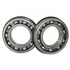 S-19641 by NEWSTAR - Bearings - Cylindrical, for ES53-5D, 52-7B, 56-7B & ESO66-7B