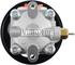 N990-0805 by VISION OE - NEW STEERING PUMP