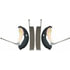 Raybestos 815PG Drum Brake Shoe Raybestos Element3 Organic Brake Shoe