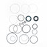 Omega Environmental Technologies 2194 Rack and Pinion Seal Kit Rack and Pinion Seal Kit