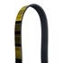 1080813 by GOODYEAR BELTS - Serpentine Belt - Multi V-Belt, 81.3 in. Effective Length, Polyester