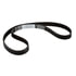 Continental AG TB084 Engine Timing Belt Continental Automotive Timing Belt