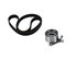 TB139K1 by CONTINENTAL AG - Continental Timing Belt Kit Without Water Pump