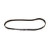 TB276 by CONTINENTAL AG - Continental Automotive Timing Belt
