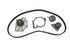 GTKWP331 by CONTINENTAL AG - Continental Timing Belt Kit With Water Pump