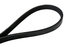 4030247 by CONTINENTAL AG - Automotive Multi-V Belt