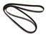 4060875 by CONTINENTAL AG - Automotive Multi-V Belt