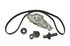 GTKWP286 by CONTINENTAL AG - Continental Timing Belt Kit With Water Pump