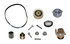 PP346LK1 by CONTINENTAL AG - Continental Timing Belt Kit With Water Pump