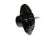 Newstar S-8583 HVAC Blower Motor HVAC Blower Motor