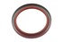 S-D978 by NEWSTAR - Oil Seal Set