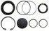 S-11557 by NEWSTAR - Steering Gear Sector Shaft Seal Kit