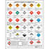JJ Keller 1132 Hazardous Materials Placard Chart - 2-Sided, 8-1/2" x 11" - Hazardous Materials Placard Chart
