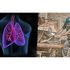 JJ Keller 52034 Crystalline Silica for Construction Employers - Streaming Video Training Program - Streaming Video - English