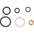 DT600016 by DIPACO - Complete seal kit for reinstalling the injector.