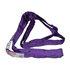 20-ENR1x4 by ANCRA - Lifting Sling - 1 in. x 48in., Purple, Endless Round
