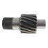 BSP-7962 by PAI - Differential Pinion Gear - Gray, Helical Gear
