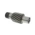 BSP-7938 by PAI - Differential Drive Pinion - Gray, Helical Gear