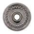 191883 by PAI - Engine Timing Camshaft Gear - Gray, Spur Gear