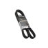Dayco 5081103 Serpentine Belt POLY RIB BELT, DAYCO