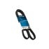 A070382 by DAYCO - POLY RIB BELT, DAYCO